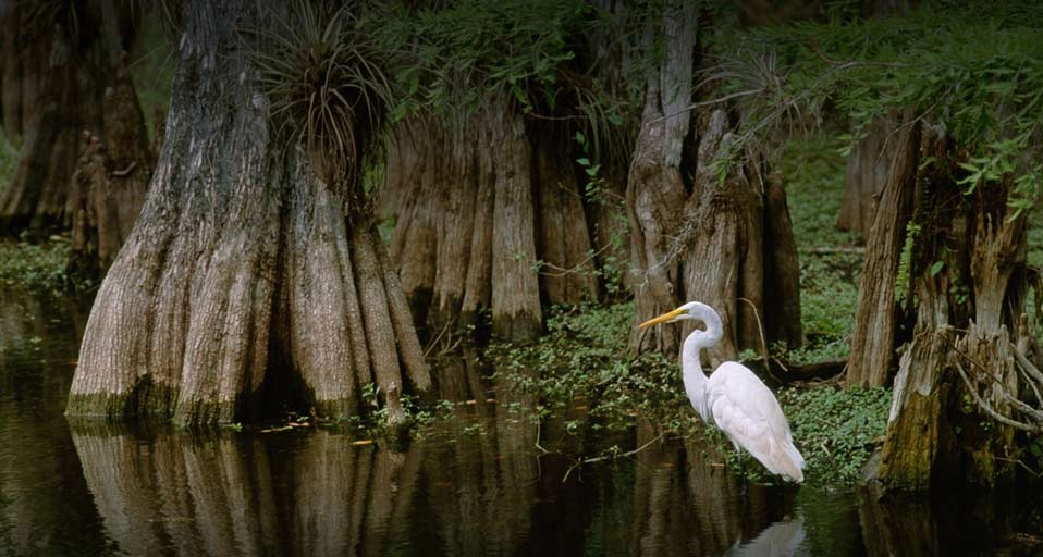 Phil Schermeister/National Geographic Culture/Getty Images &copy; (Bing Australia)
