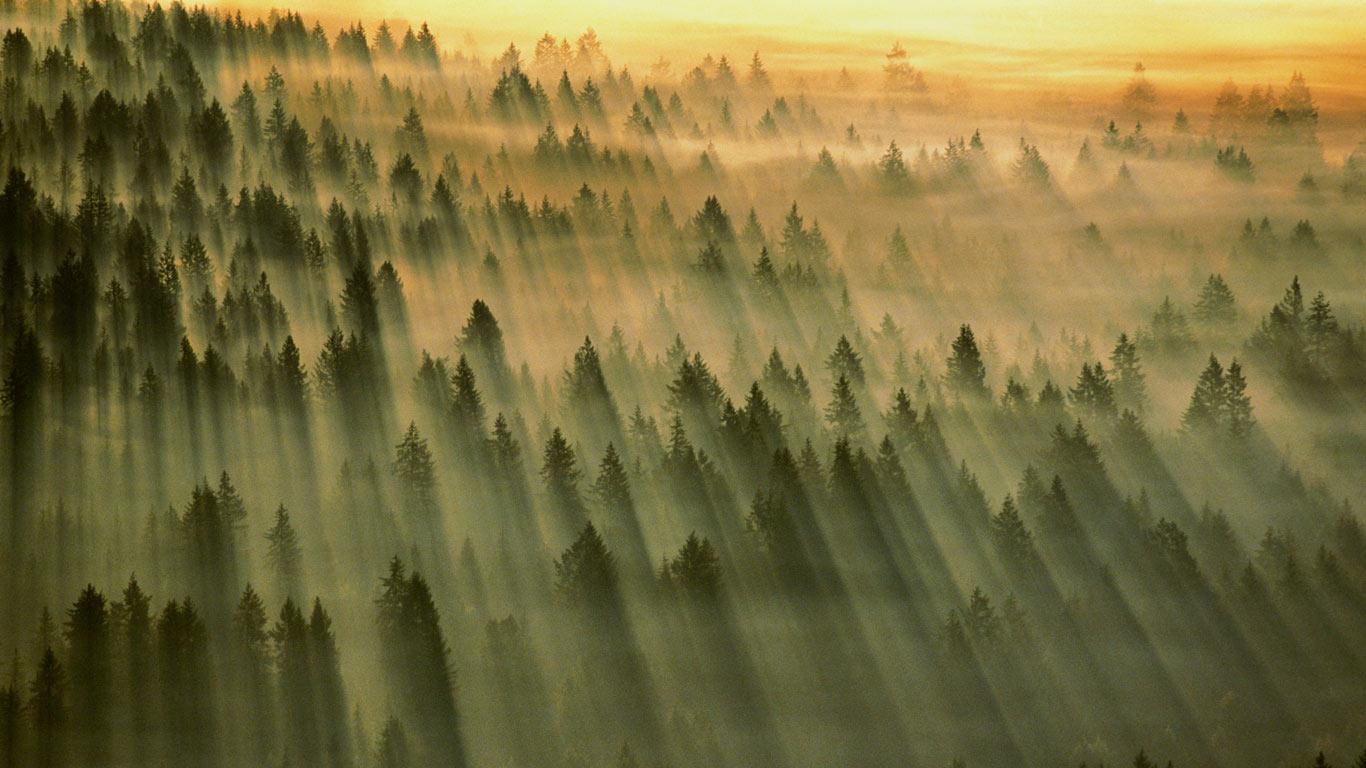 Gifford Pinchot National Forest, Washington (© Art Wolfe/Getty Images)(Bing Canada)
