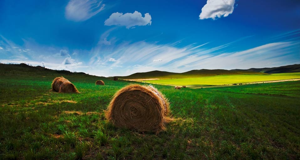 携程&MSN十年旅行摄影大赛作品精选：内蒙古呼伦贝尔草原 -- 李长山/北京 &copy; (Bing China)