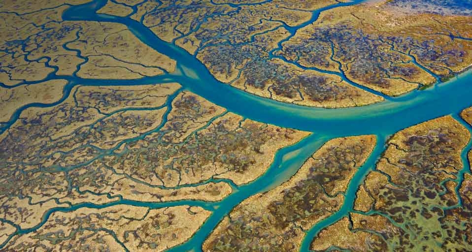 西班牙韦尔瓦省的生物圈保护区 (© Martin Ruegner/Getty Images) &copy; (Bing China)