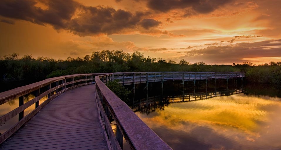 美国佛罗里达州大沼泽地国家公园的夕阳 -- SIME/eStock &copy; (Bing China)
