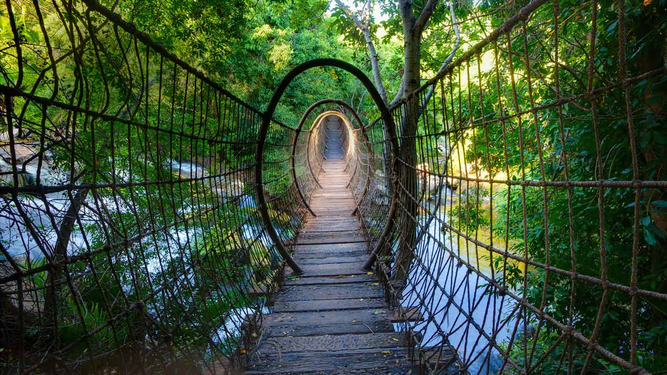 南非西北省，失落之城中的吊桥 (© Heinrich van den Berg/Alamy)(Bing China)