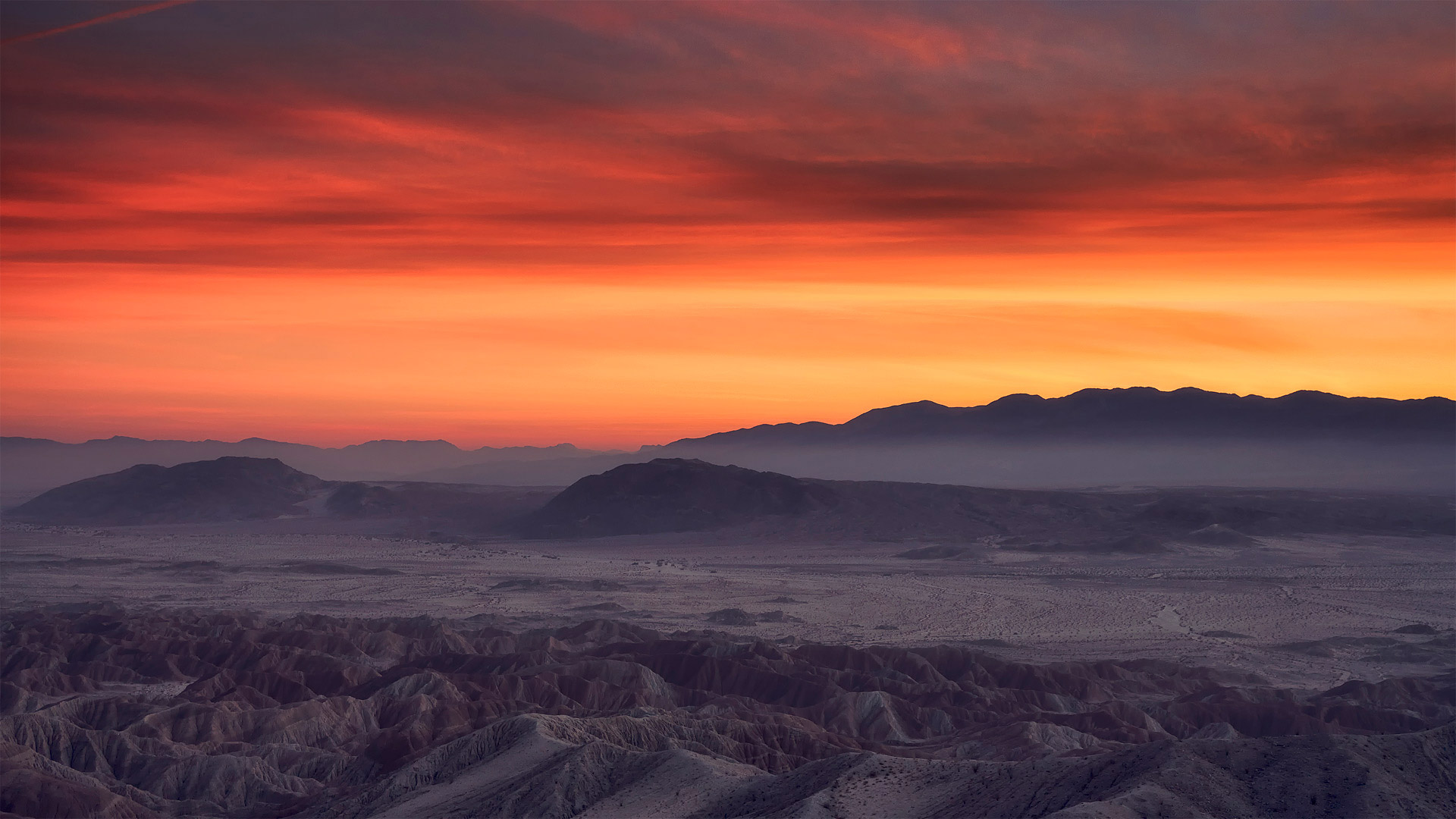 安沙波利哥沙漠州立公园，美国加利福尼亚州 (© Tom Hogan/plainpicture)(Bing China)