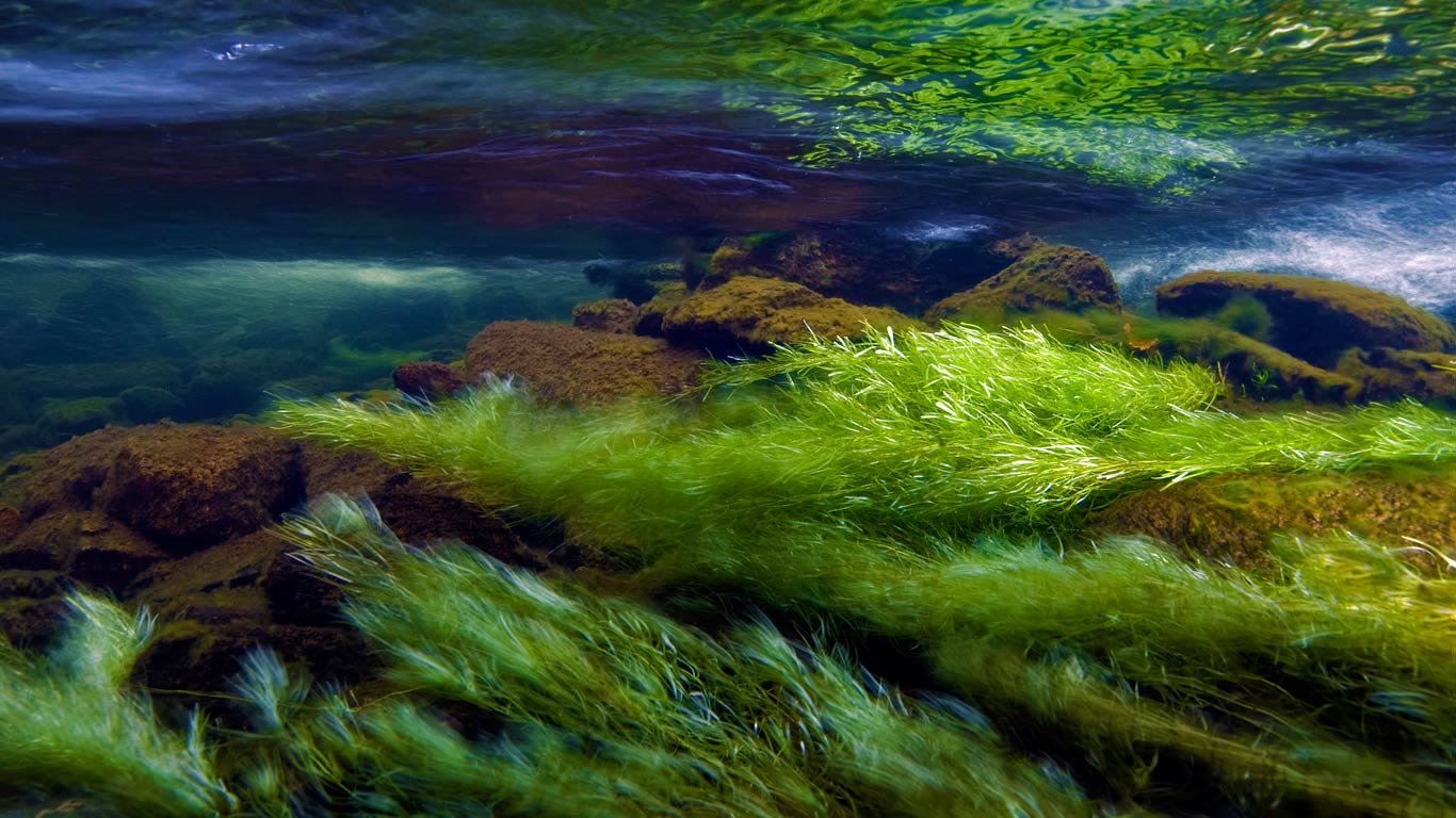 斯诺多尼亚国家公园的Afon Ogwen河，英国威尔士 (© Graham Eaton/Minden Pictures)(Bing China)
