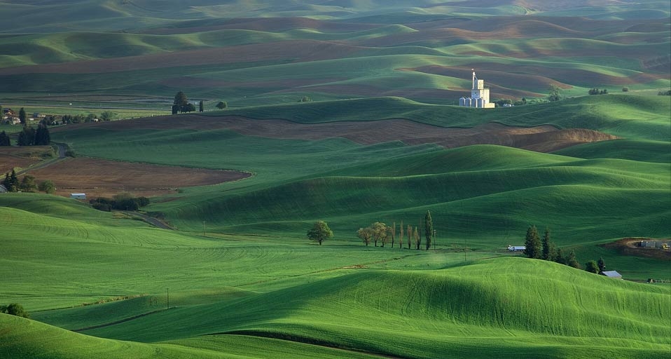 无处不浪漫：云淡风轻的华盛顿州立公园 -- Michael Sedam/Photolibrary &copy; (Bing China)