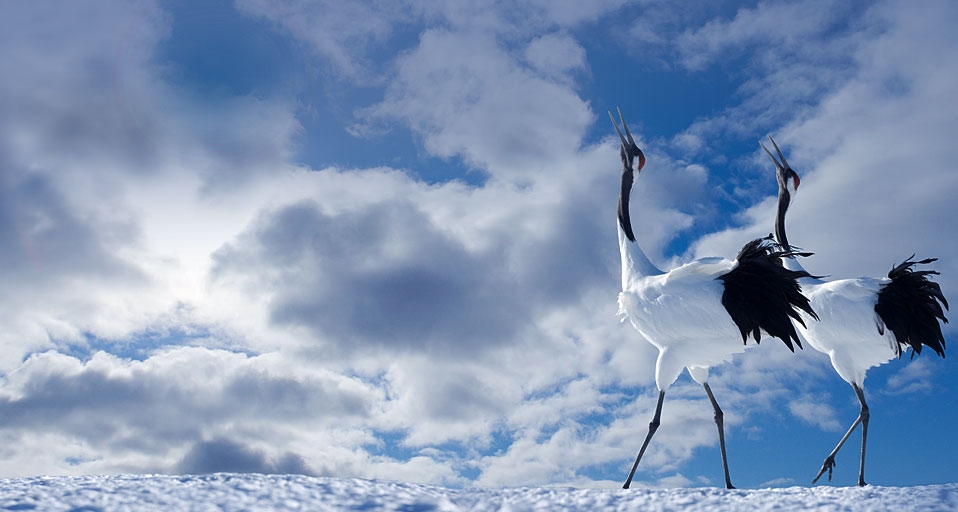 175-/Panorama Stock RF/Photolibrary &copy; (Bing Australia)