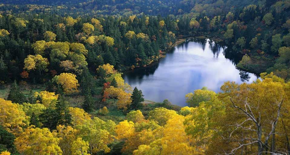 ｢十和田湖｣東北地方, 十和田八幡平国立公園 (© Image Plan/Corbis) &copy; (Bing Japan)