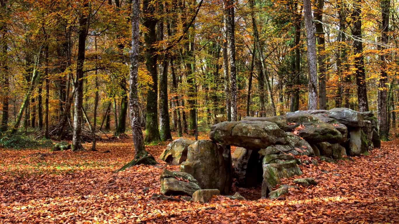 Dolmen “Maison des fées” dans la forêt du Mesnil, Ille-et-Vilaine, Bretagne (© Philippe Josselin/age fotostock)(Bing France)