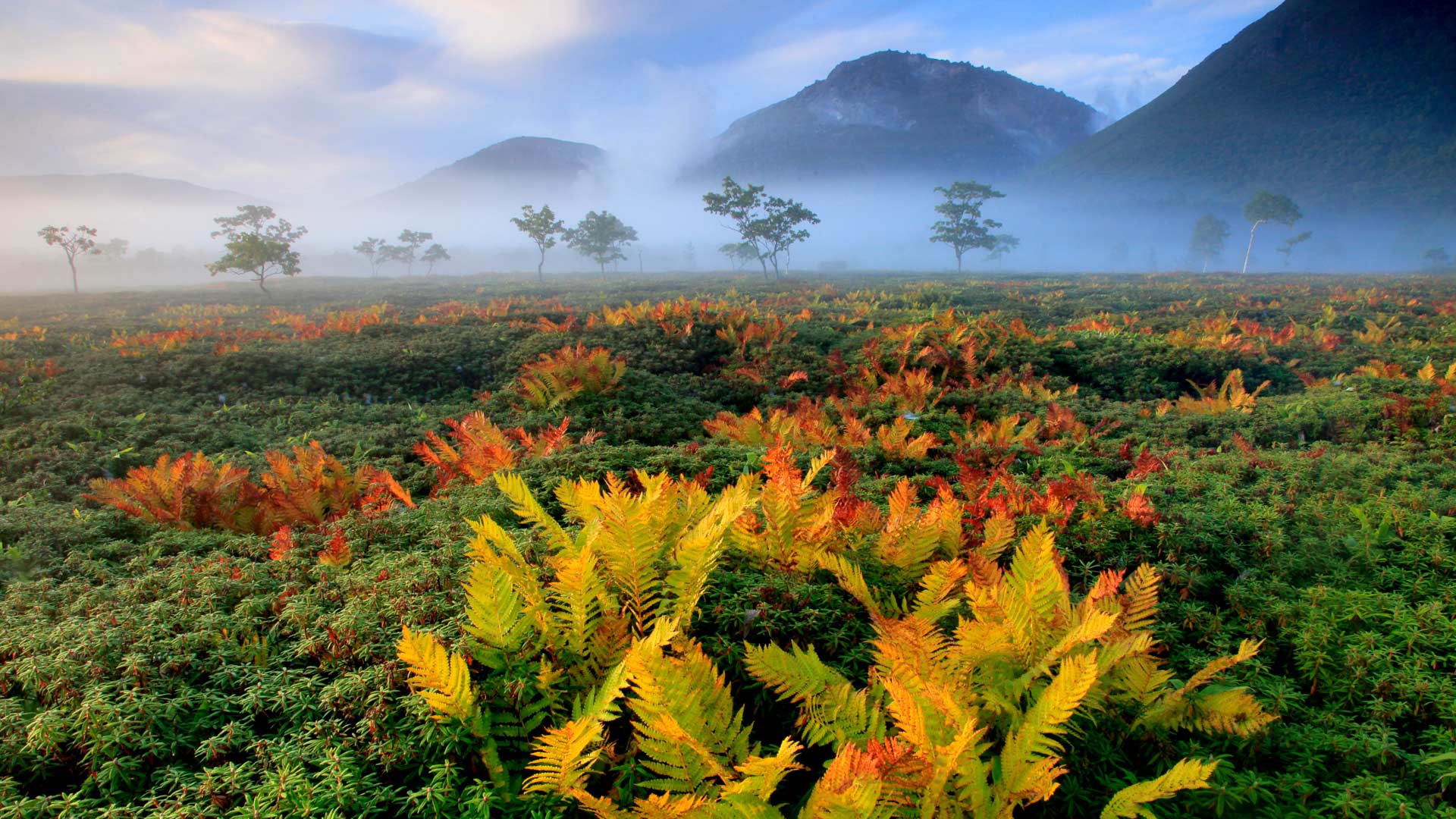 日本北海道 (© Hiroshi Yokoyama/eStock Photo)(Bing China)