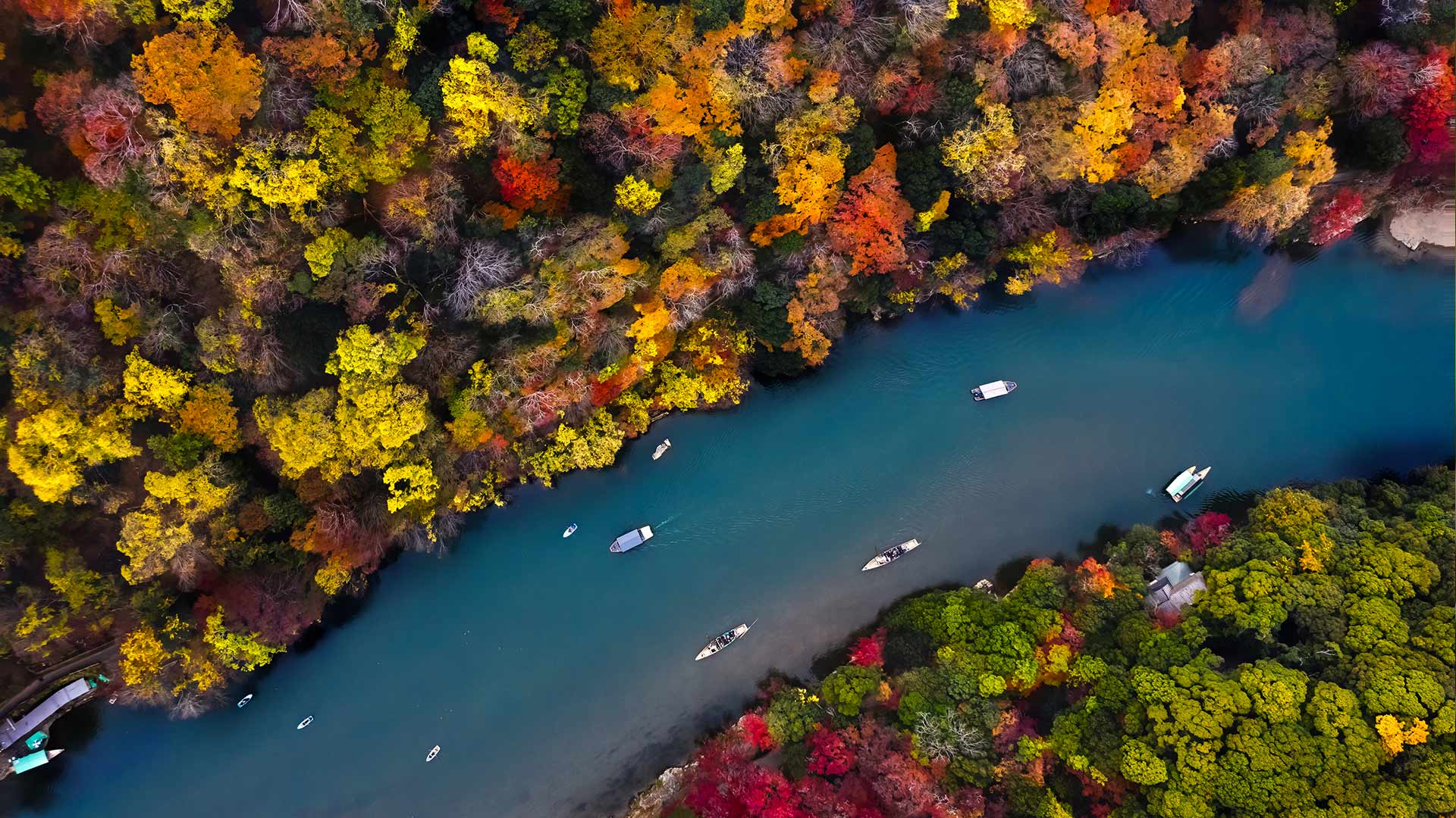 大堰川の紅葉, 京都 嵐山 (© Anupong Sakoolchai/Moment/Getty Images)(Bing Japan)