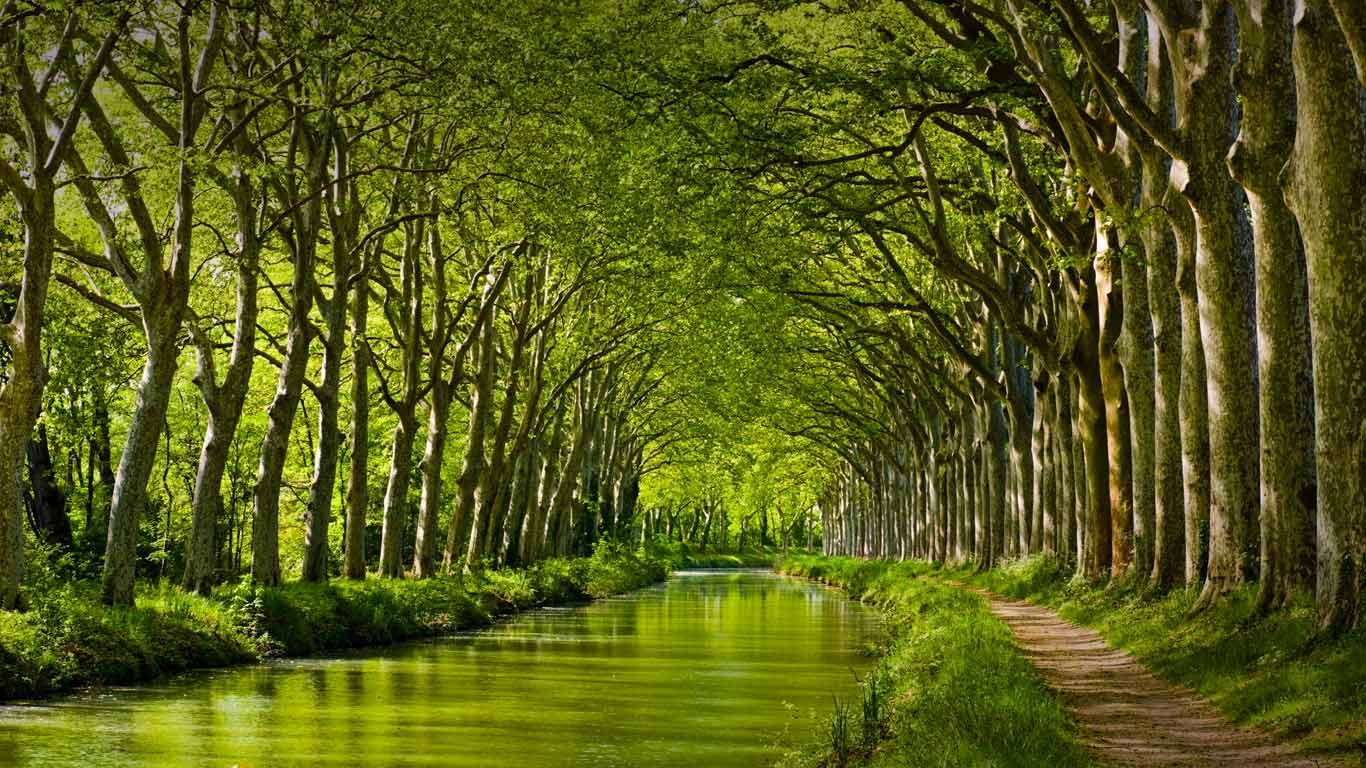 Late spring look on Canal du Midi in Toulouse, Haute-Garonne, Midi-Pyrénées, France (© Yuryev Pavel/Shutterstock)(Bing Canada)