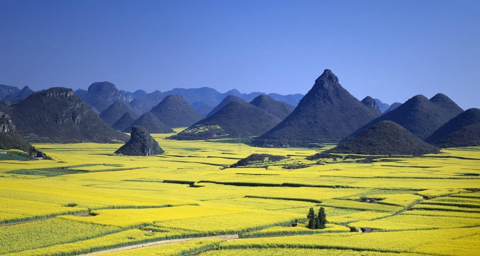 中国云南罗平的油菜花田 -- JTB Photo/Photolibrary &copy; (Bing China)