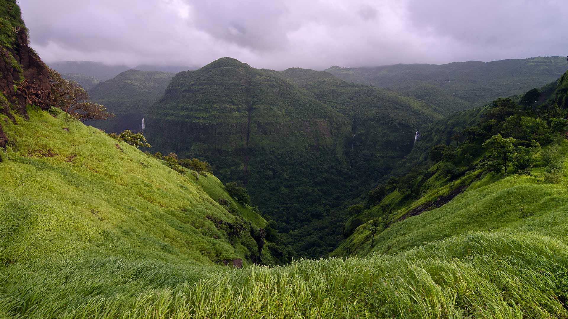 马哈拉施特拉邦的Varandha Ghat，印度 (© AmitRane1975/iStock/Getty Images Plus)(Bing China)