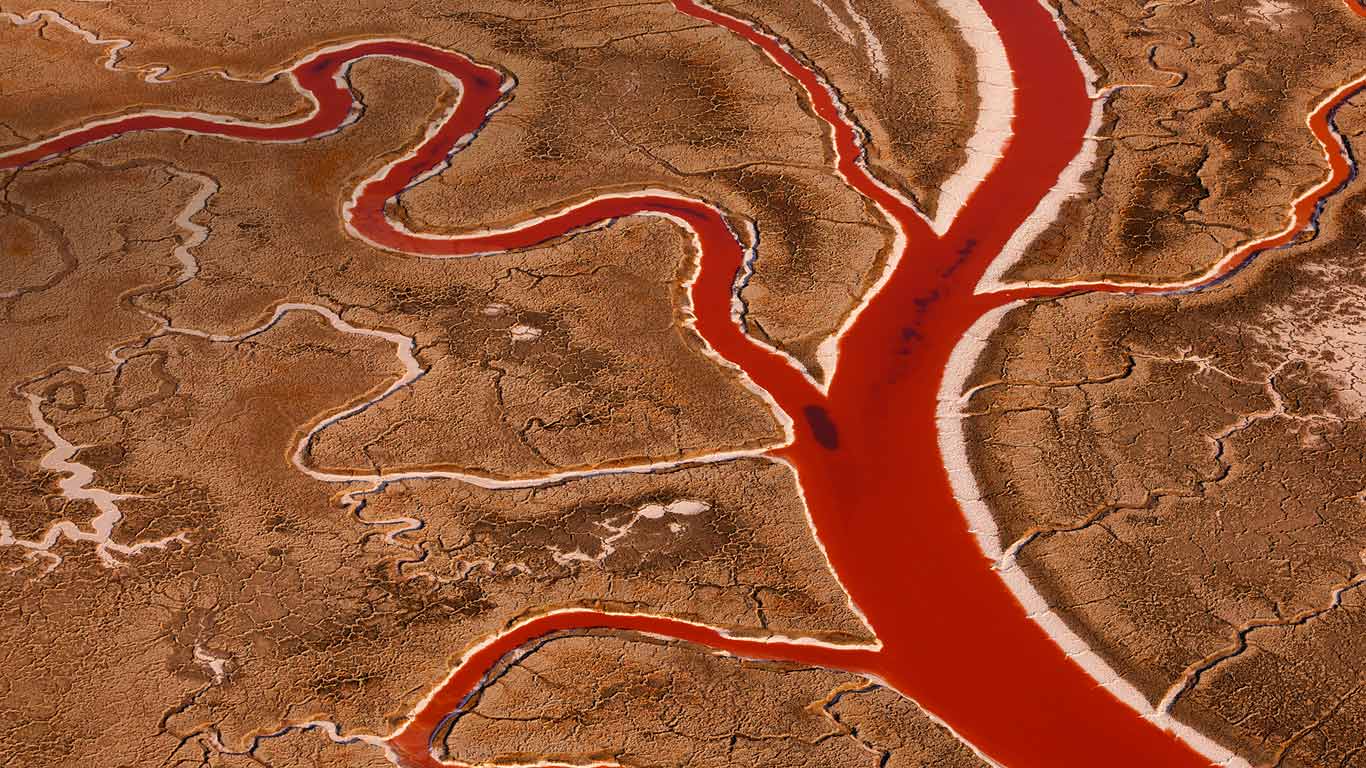 美国加州旧金山湾，盐沼 (© Art Wolfe/Mint Images)(Bing China)