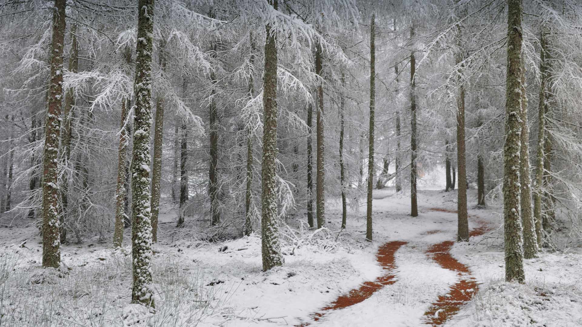 北孚日地区自然公园，法国 (© Michel Rauch/Minden Pictures)(Bing China)