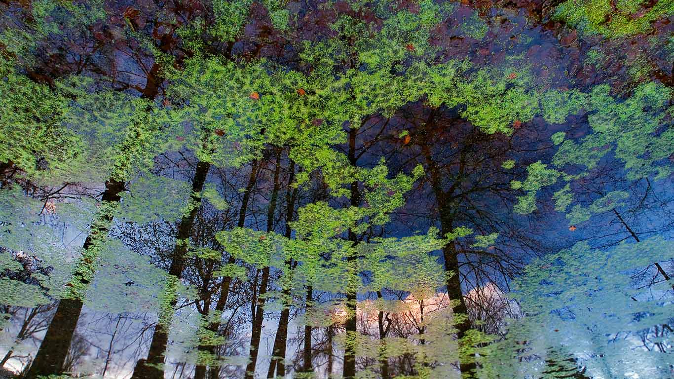 Reflection on the lake at Bergpark Wilhelmshöhe in Kassel, Germany (© Chinch Gryniewicz/plainpicture)(Bing Canada)