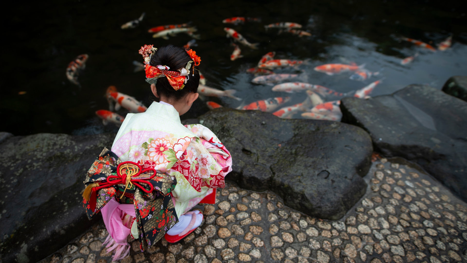 着物姿の女の子, 日本 （© Hakase_/Getty Images）(Bing Japan)