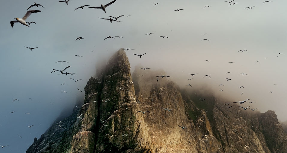 苏格兰圣基尔达群岛峭壁上空的海鸟群 (© Jim Richardson/Corbis) &copy; (Bing China)