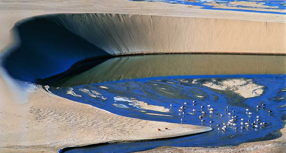 一起爱环保：我国的土地沙漠化 -- TAO Images Limited &copy; (Bing China)