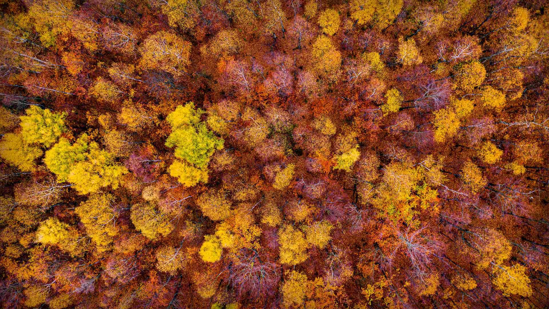 Bohemian Switzerland National Park near Tisá, Czech Republic (© Amazing Aerial Agency/Offset)(Bing Canada)
