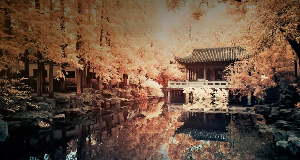 位于上海的中国传统园林 (© Yiu Yu Hoi/Flickr/Getty Images) &copy; (Bing China)