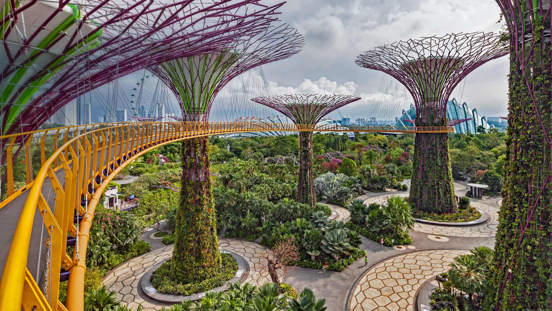 The Supertree Grove in Singapore