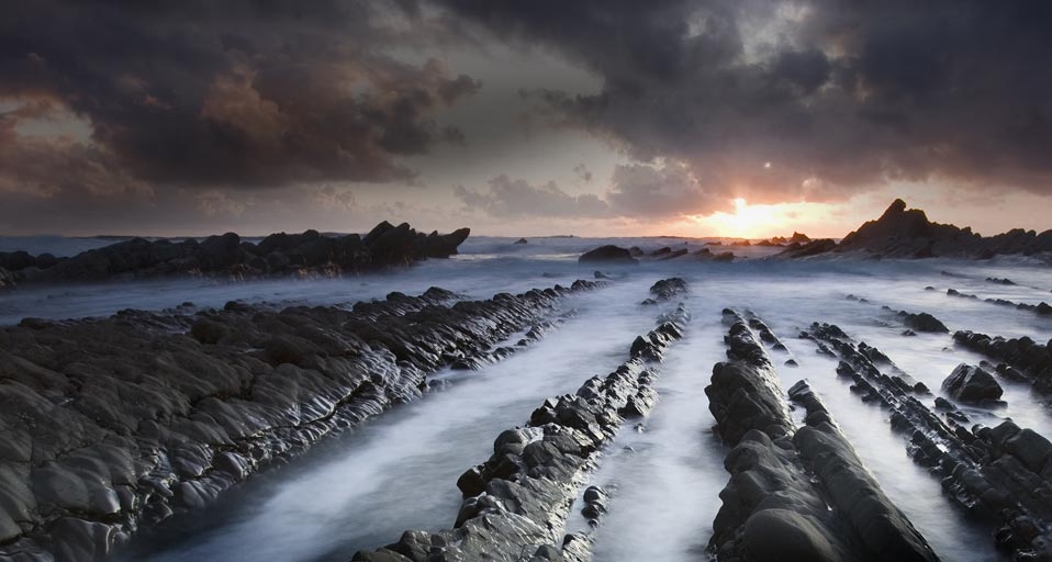 David Clapp/Oxford Scientific (OSF)/Photolibrary &copy; (Bing Australia)