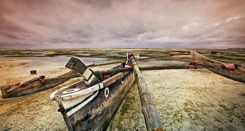 坦桑尼亚桑给巴尔岛的海滩 (© Alvaro Leiva/age fotostock) &copy; (Bing China)