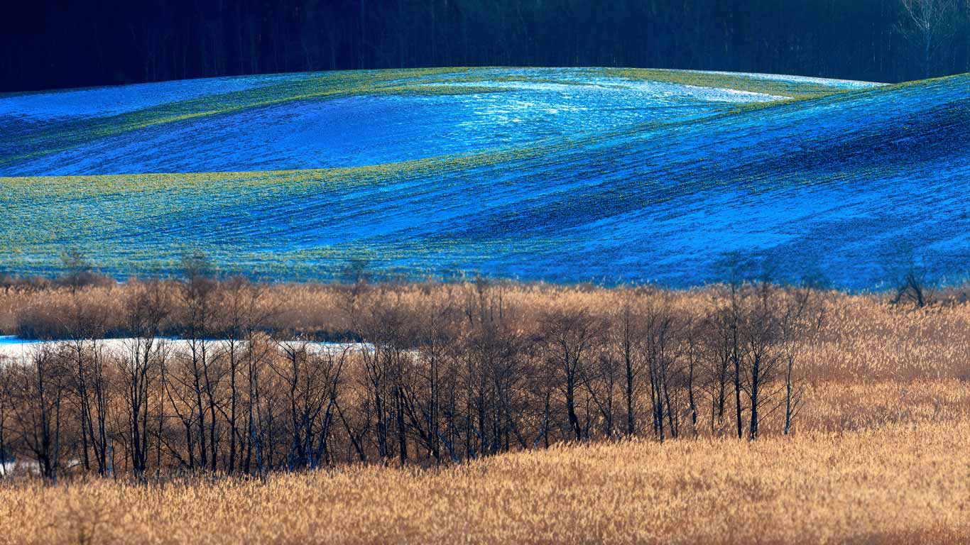 巴尔切沃村庄的近郊，奥尔什丁市，波兰 (© jesiotr9/Getty Images)(Bing China)