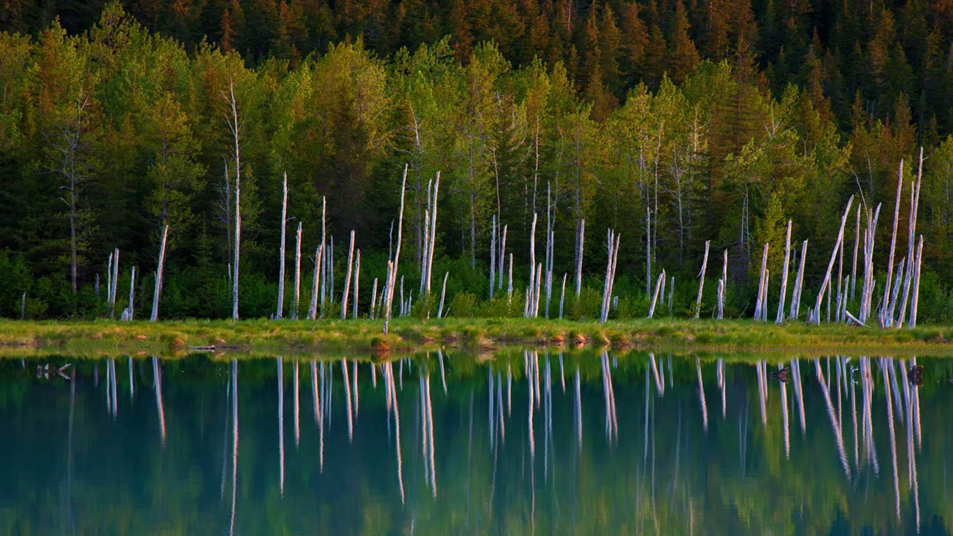 楚加奇国家森林的波蒂奇湖，阿拉斯加州 (© Ron Niebrugge/Alamy)(Bing China)