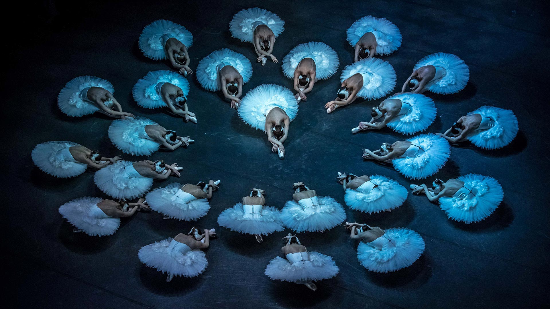 Répétition du Lac des Cygnes par le Ballet national Tchèque à Prague, République Tchèque, le 25 mars 2019 (© Martin Divisek/EPA-EFE/Shutterstock)(Bing France)