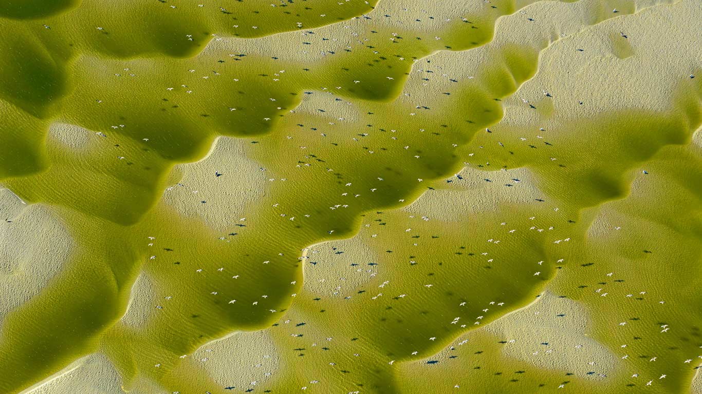 ｢ソンム湾｣フランス (© Philippe Frutier/plainpicture)(Bing Japan)