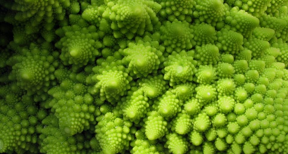 罗马花椰菜 (© Martha Lazar/Getty) &copy; (Bing China)