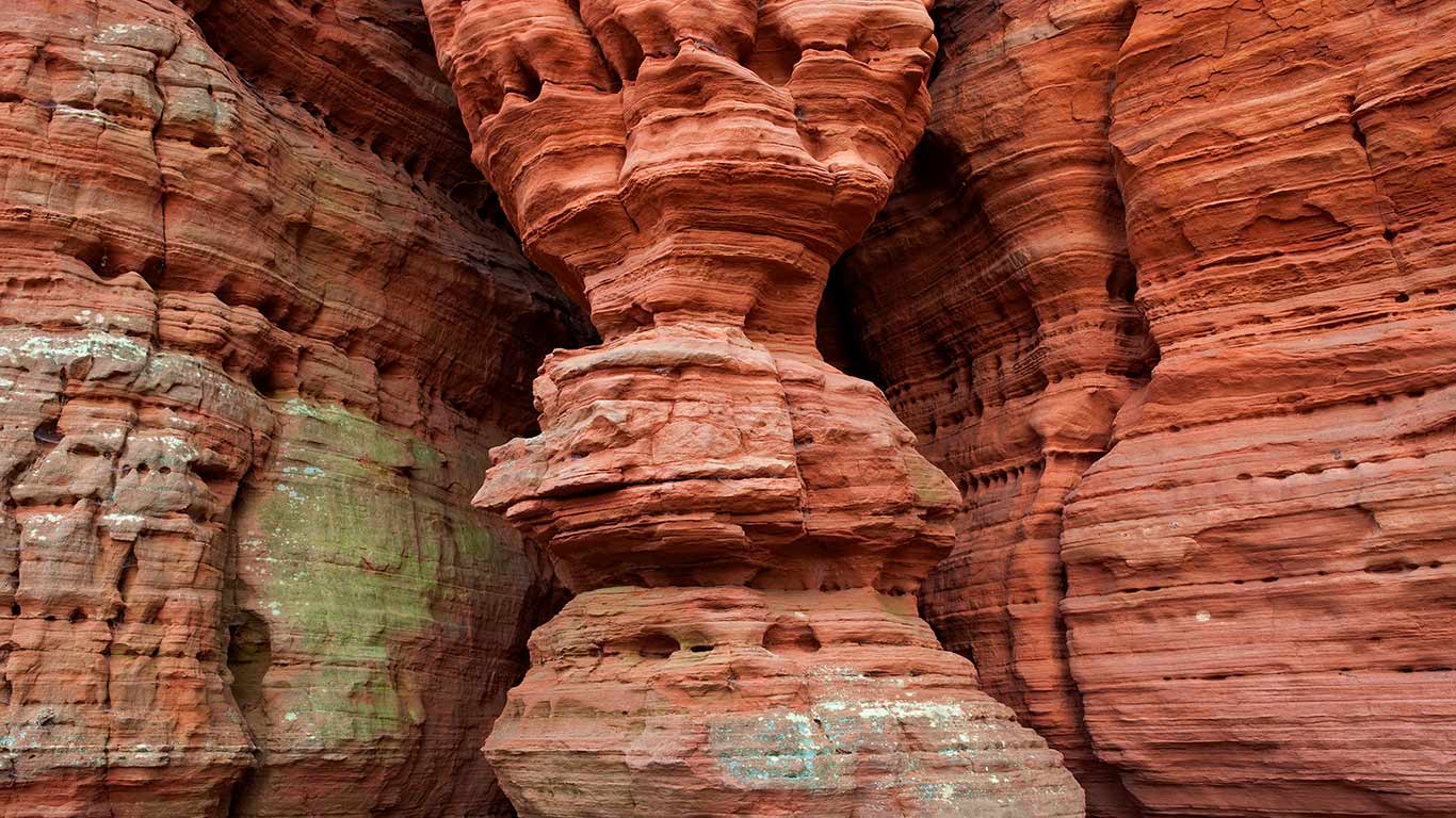 Altschlossfelsen, Pfälzerwald, Rheinland-Pfalz, Deutschland (© Ingo Arndt/Minden Pictures)(Bing Deutschland)