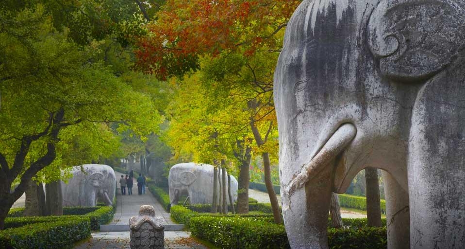 南京紫金山明孝陵的石象 (© Ian Trower/Corbis) &copy; (Bing China)