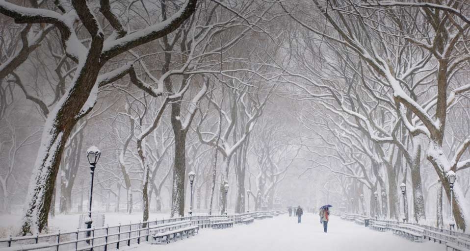 纽约中央公园的冬天 -- Ellen Rooney/Getty Images &copy; (Bing China)