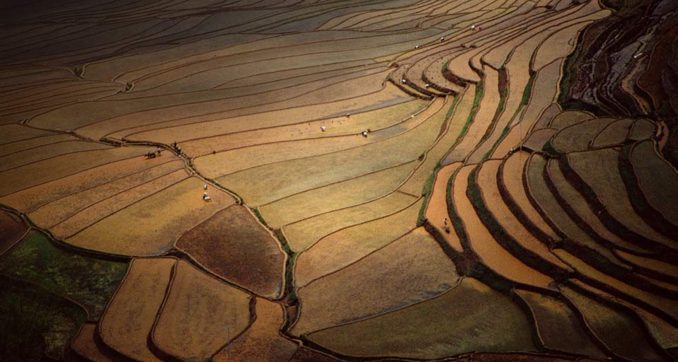 云南元阳梯田 -- China Tourism Press/Riser/Getty Images &copy; (Bing China)