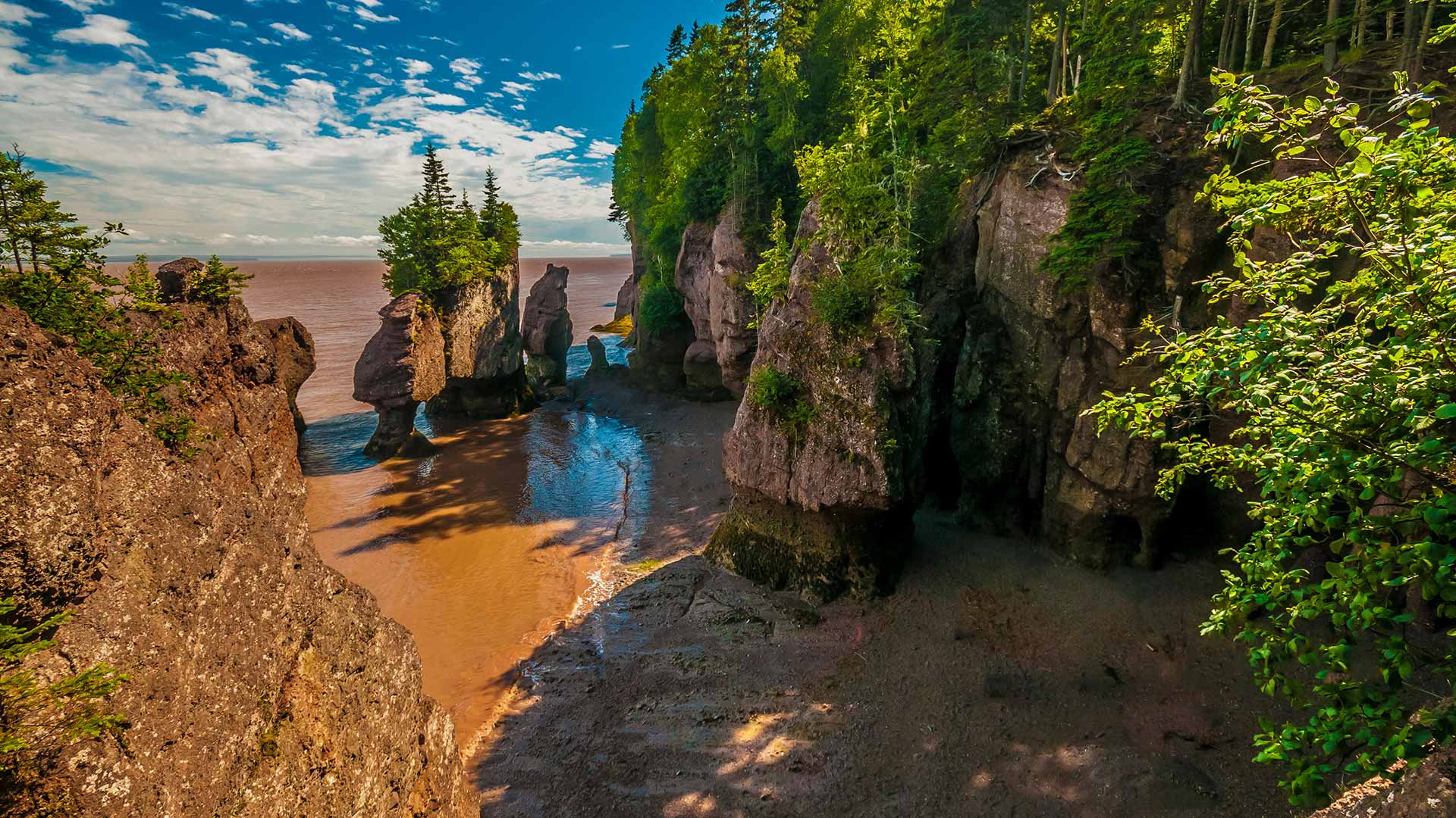Geological site of Hopewell Rocks in New Brunswick (© YAY Media AS/Alamy)(Bing Canada)