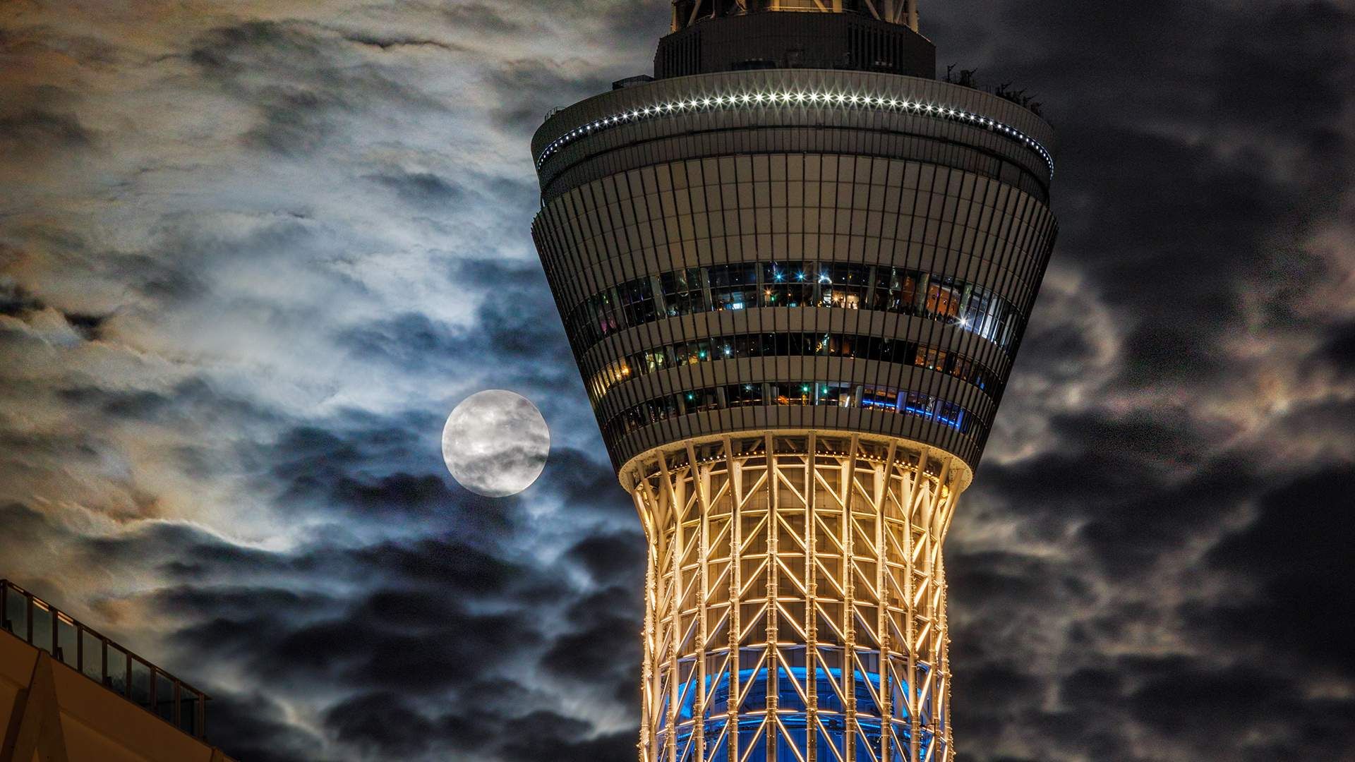 東京スカイツリー, 東京 墨田区 (© Krzysztof Baranowski/Getty Images)(Bing Japan)