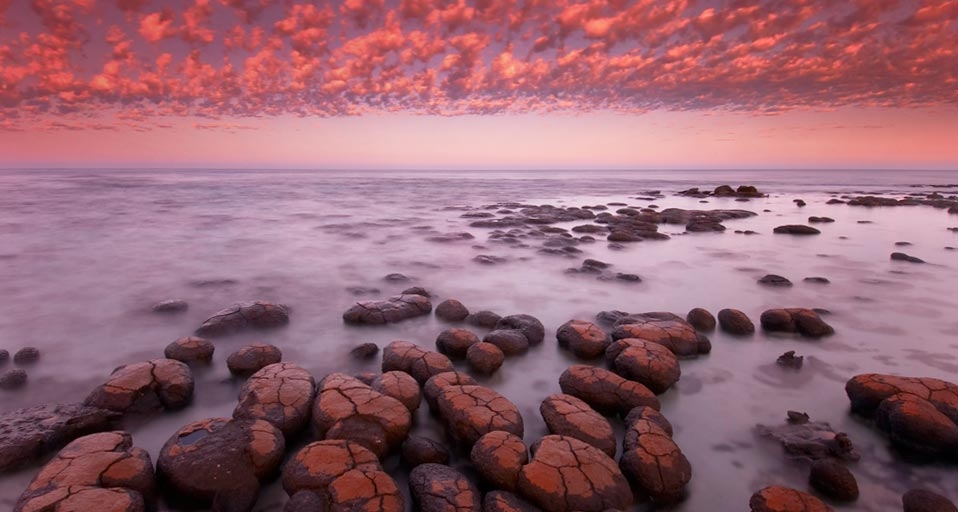 西澳大利亚州鲨鱼湾的叠层石 (© Frans Lanting/Corbis) &copy; (Bing China)