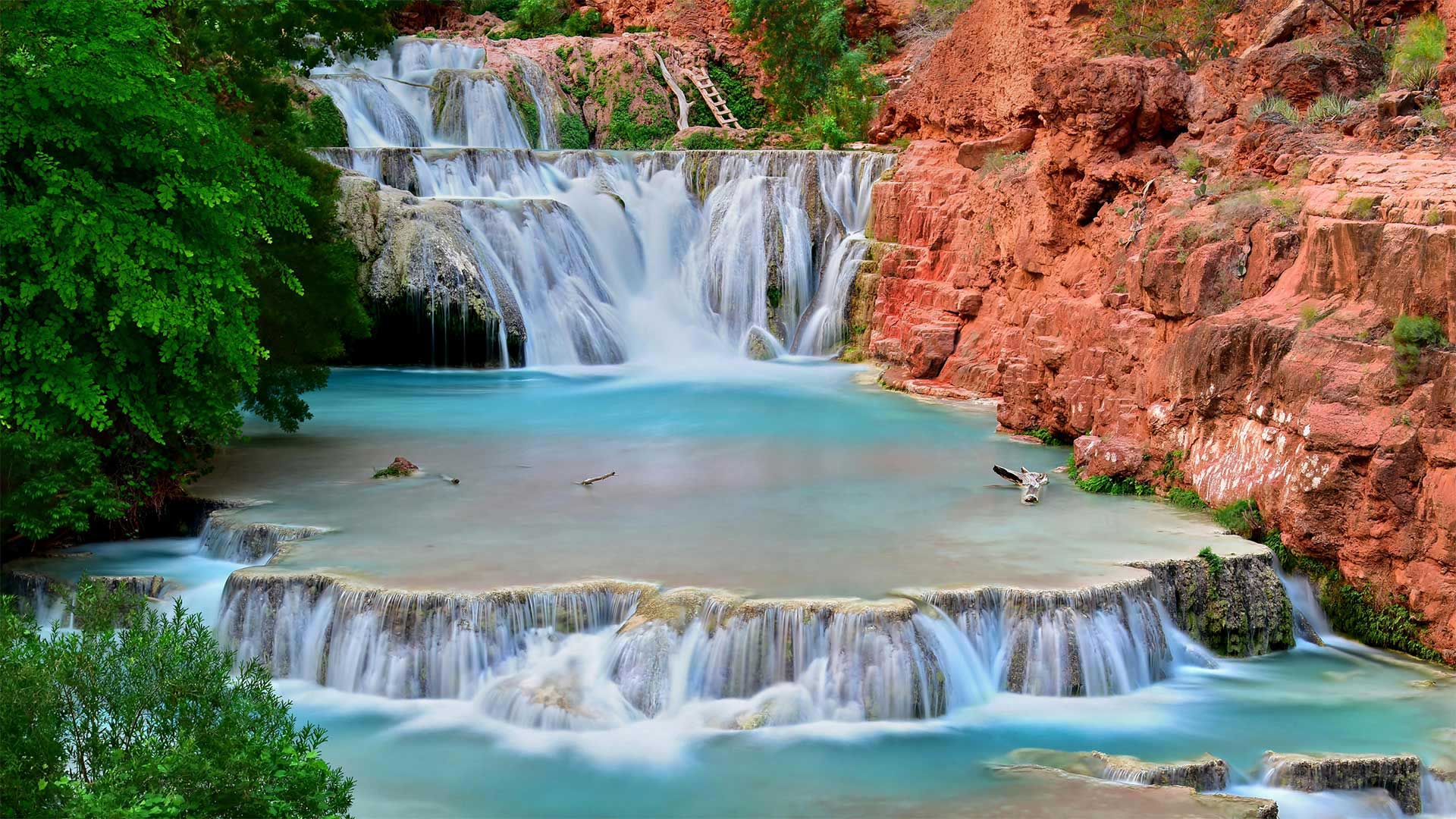 大峡谷哈瓦苏溪上的海狸瀑布，亚利桑那州 (© Edwin Verin/Alamy)(Bing China)