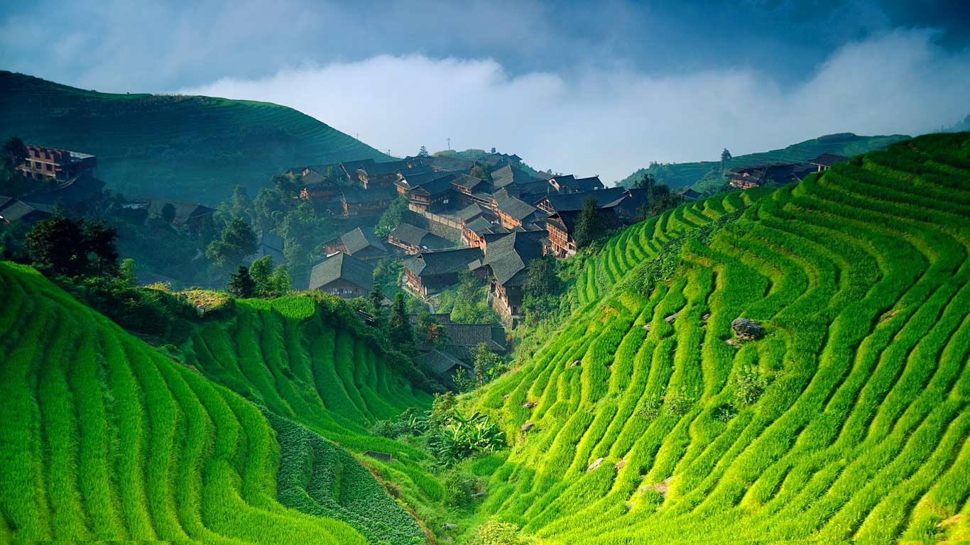 桂林龙胜梯田 (© Alexey Galyzin/Flickr/Getty Images)(Bing China)