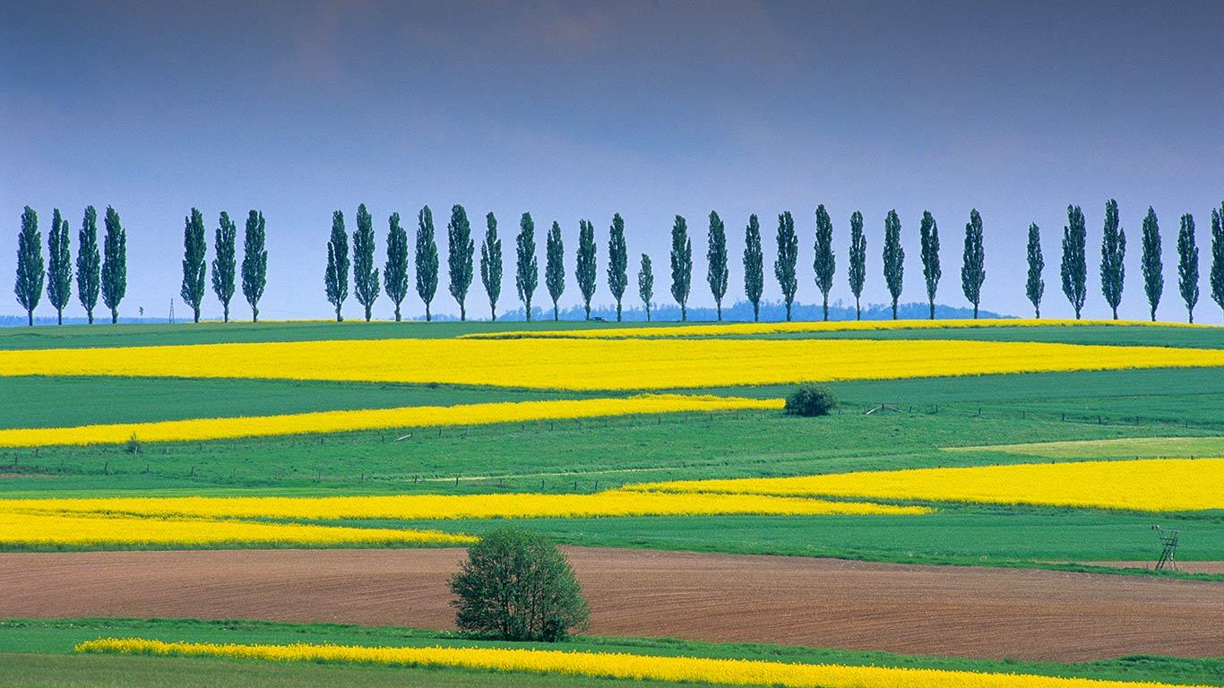 Rapsfelder bei Duderstadt, Eichsfeld, Niedersachsen, Deutschland (© H & D Zielske/LOOK-foto/Getty Images)(Bing Deutschland)