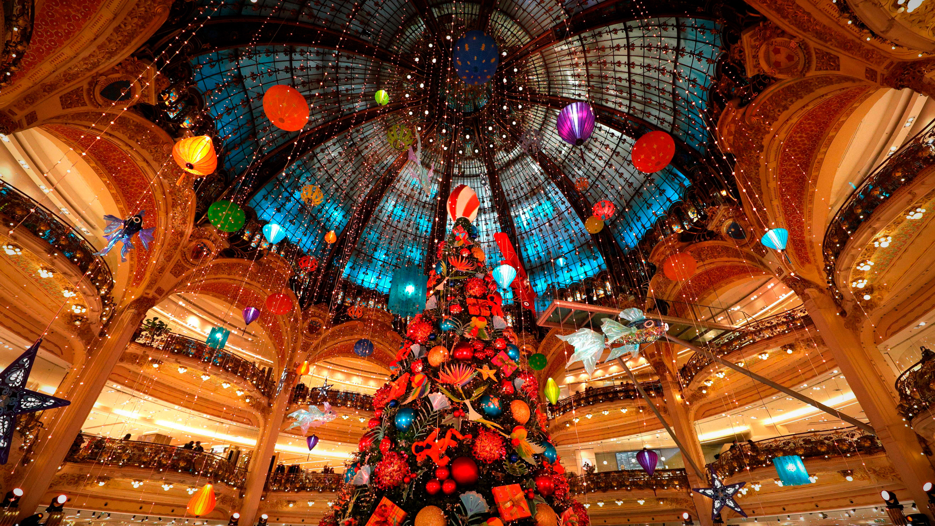 Albero di Natale nelle Galeries Lafayette a Parigi, Francia (© Geoffroy Van der Hasselt/AFP via Getty Images)(Bing Italia)