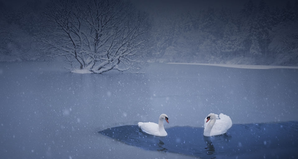 Senichi Tawara/Sebun/Getty Images &copy; (Bing Australia)