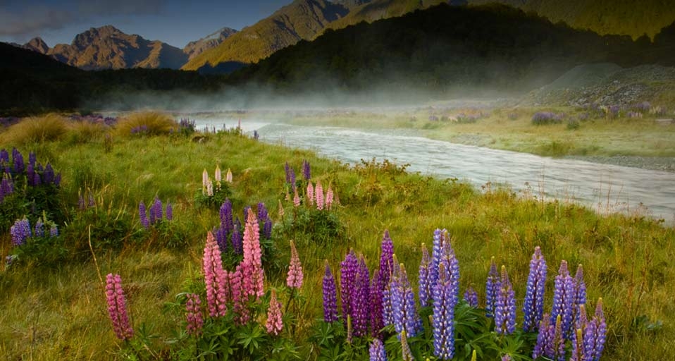 无处不浪漫：神秘的新西兰峡湾国家公园 – Tony Ernst &copy; (Bing China)