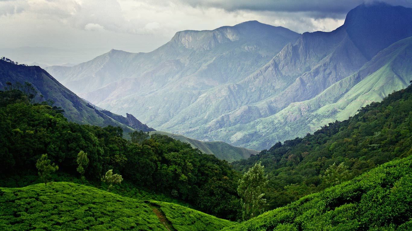 印度喀拉拉邦的蒙纳茶园 (© Vidhu S/500px)(Bing China)