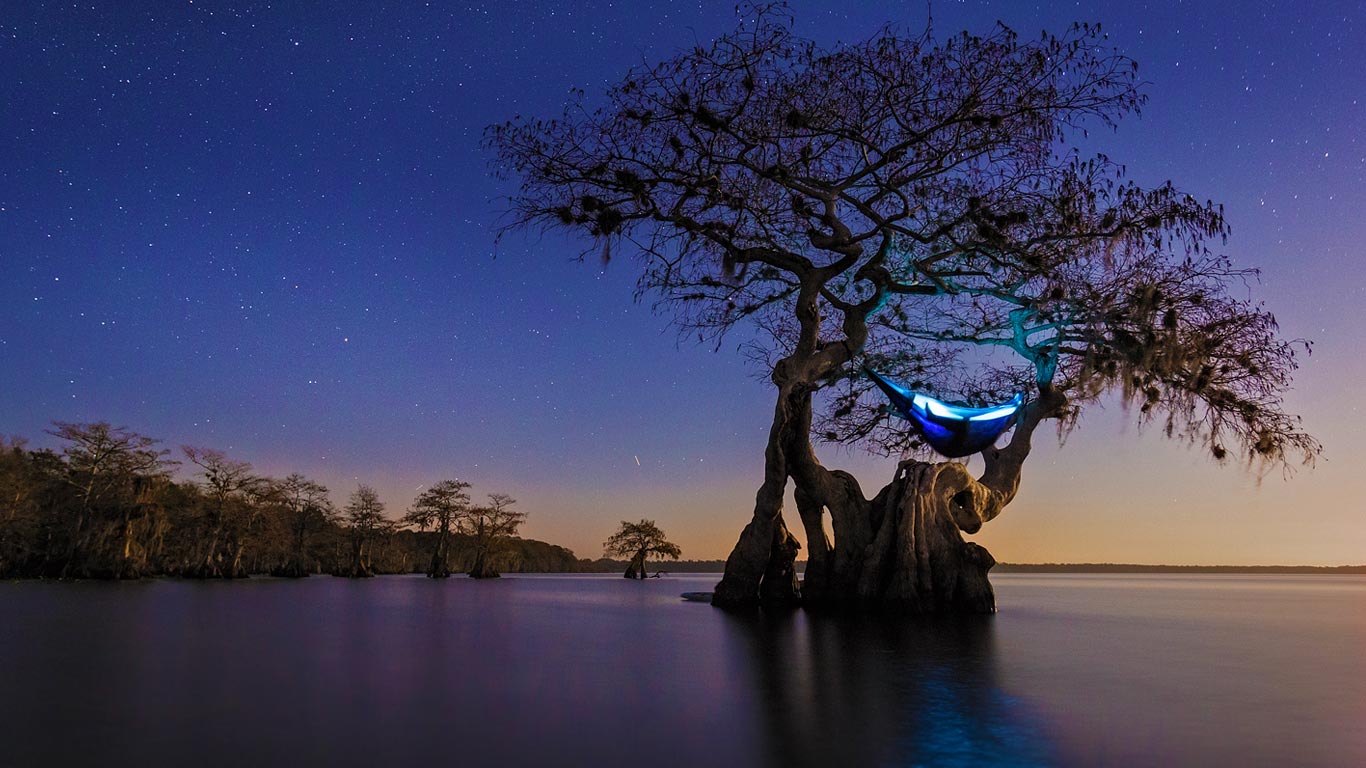 在古老柏树上搭起吊床露营 (© Mac Stone/Tandem Stills + Motion)(Bing China)