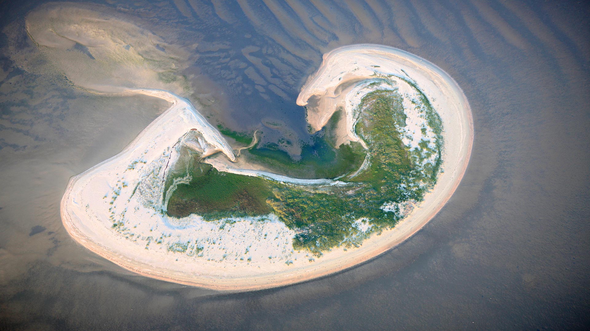 Insel Lütje Hörn im Wattenmeer, Nordsee, Niedersachsen, Deutschland (© plainpicture/Peter Hamel)(Bing Deutschland)