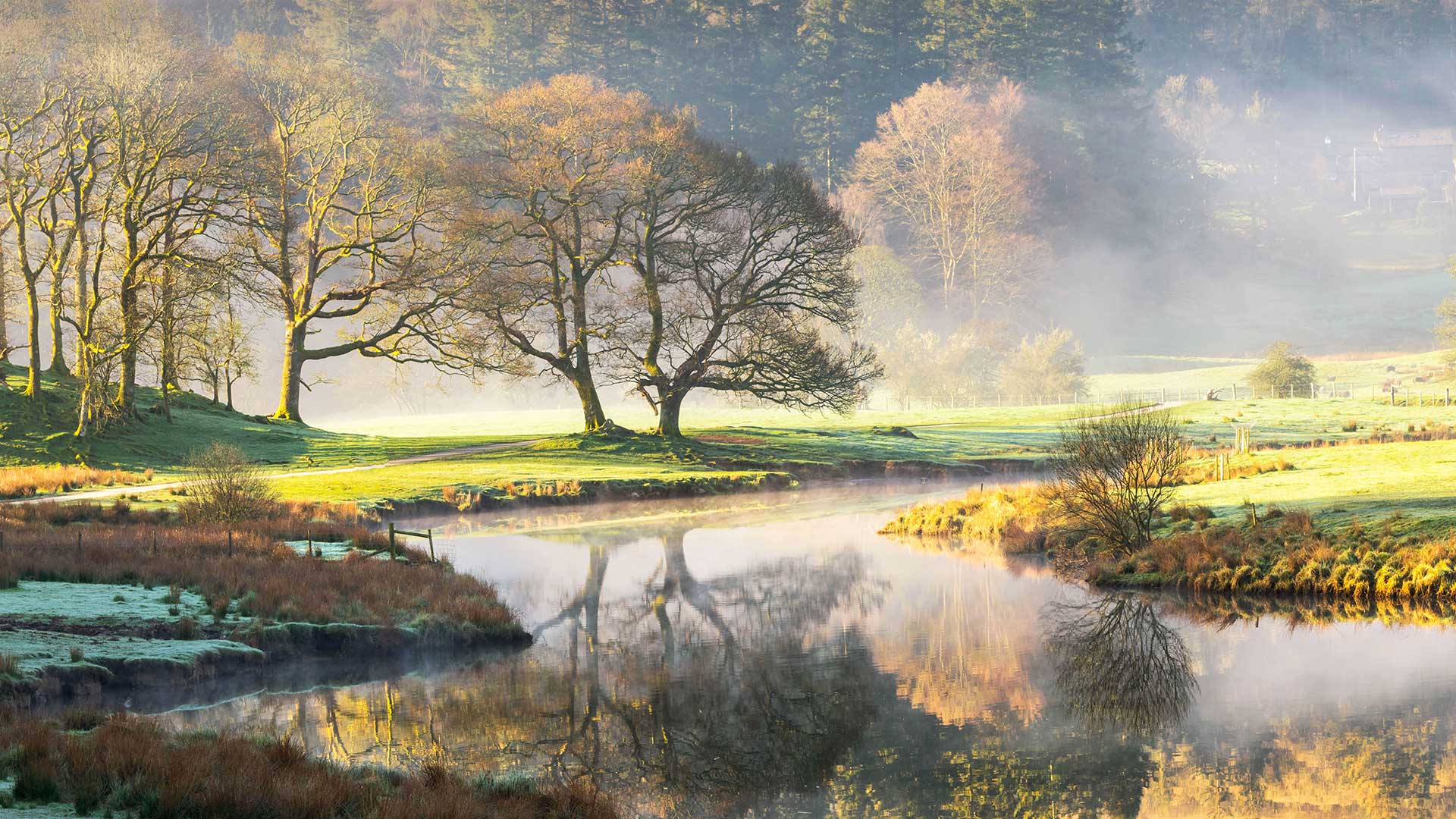 布拉塞河上的雾天黎明，英国湖区国家公园 (© fstopphotography/Getty Images)(Bing China)